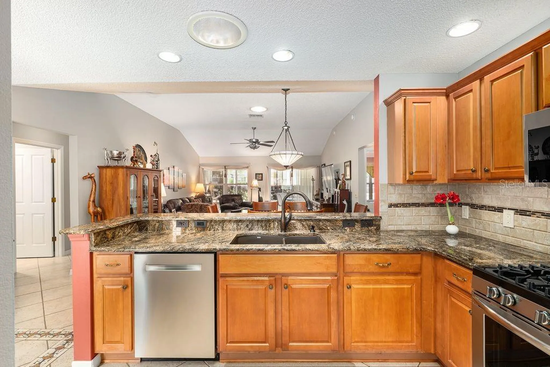 9325 SE 171st Le Flore Lane The Villages FL 32162