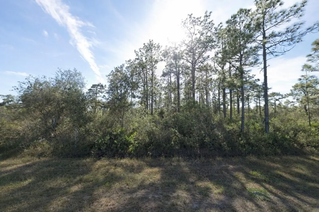 Gaillardia Drive Indian Lake Estates FL 33855