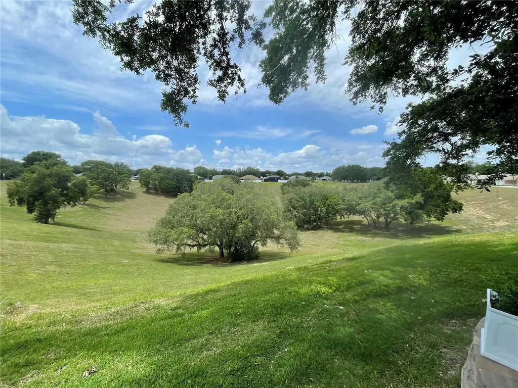 958 Princeton Drive Clermont FL 34711