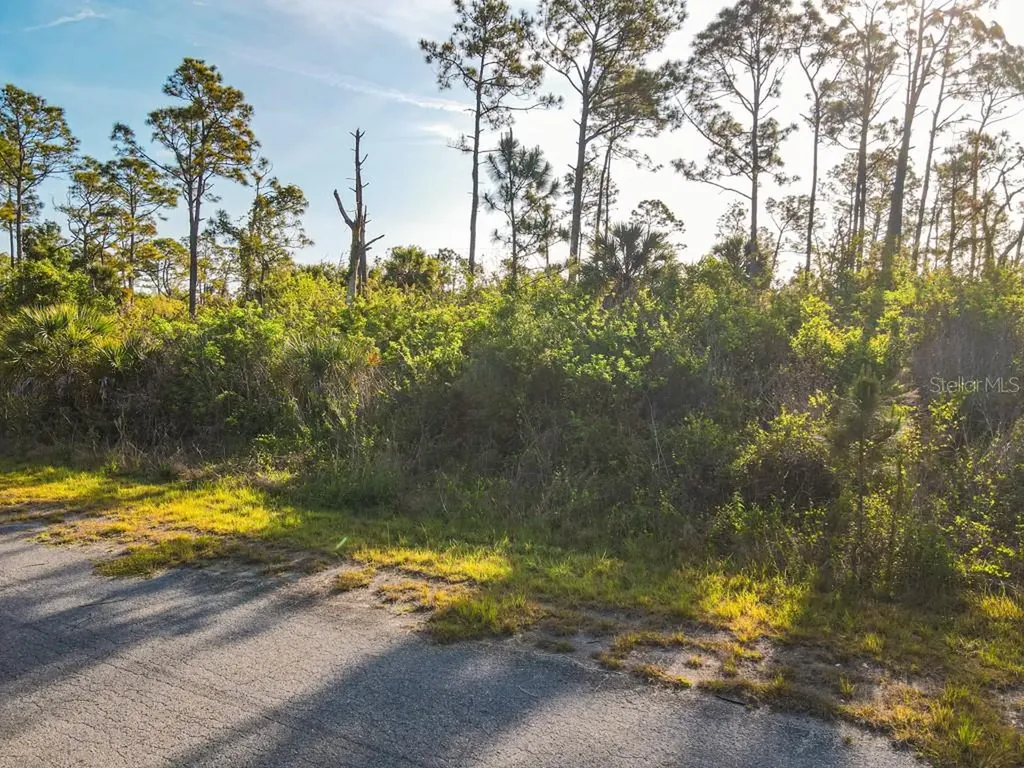 Blueleaf Drive North Port FL 34288