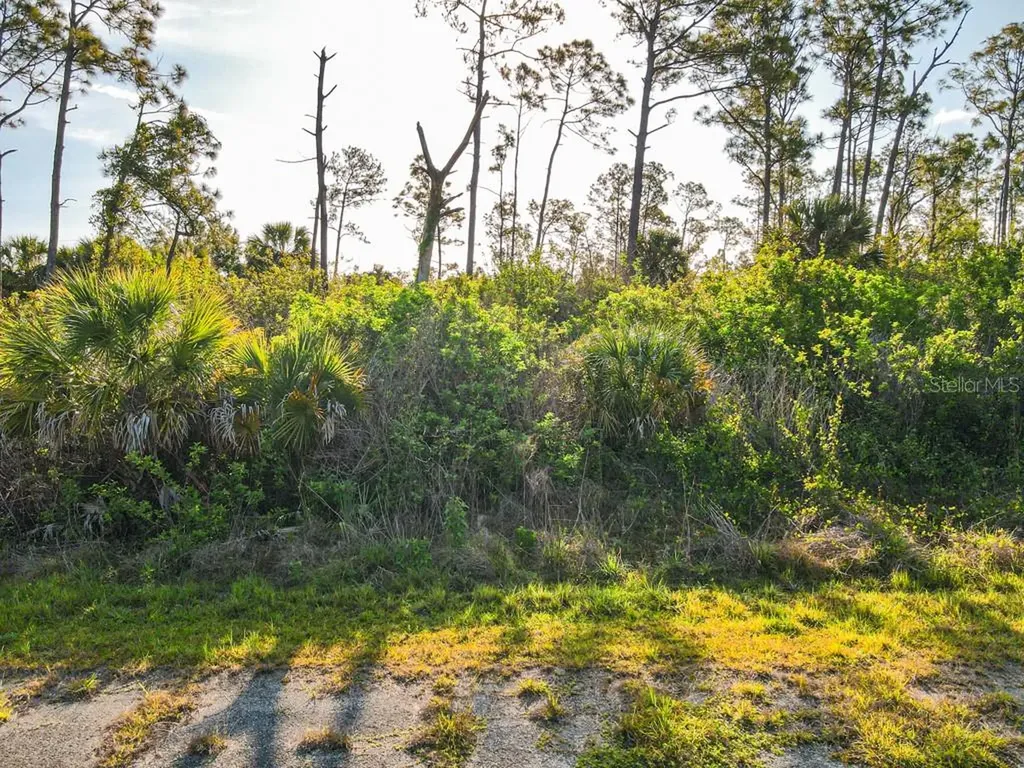 Blueleaf Drive North Port FL 34288