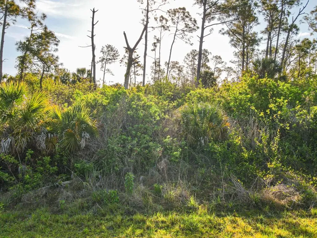 Blueleaf Drive North Port FL 34288