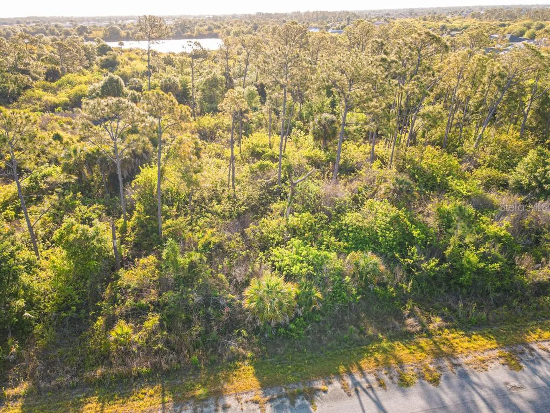 Blueleaf Drive North Port FL 34288