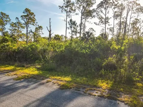 Blueleaf Drive North Port FL 34288