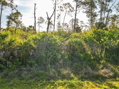 Blueleaf Drive North Port FL 34288