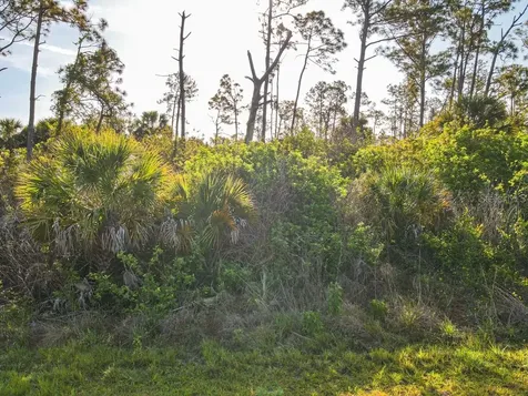 Blueleaf Drive North Port FL 34288