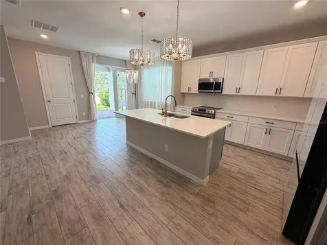 11153 Green Citron Alley Winter Garden FL 34787