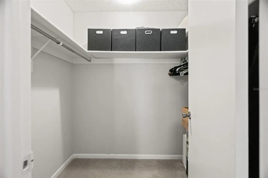 6322 Treetop Circle Temple Terrace FL 33617