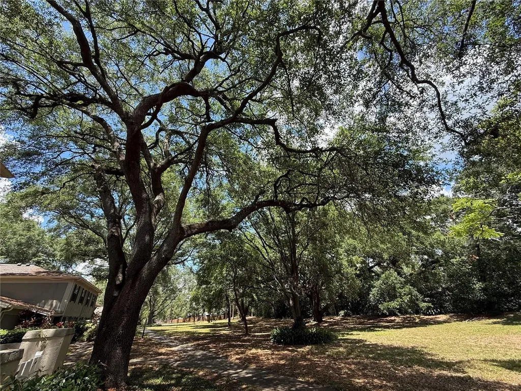 6322 Treetop Circle Temple Terrace FL 33617