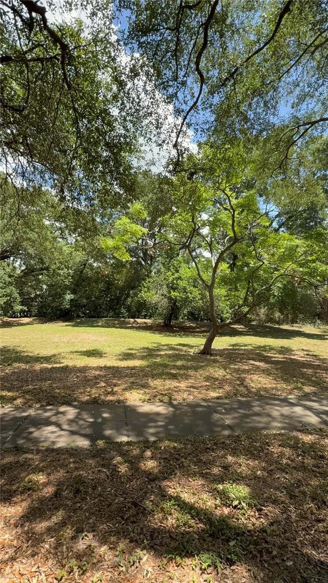 6322 Treetop Circle Temple Terrace FL 33617
