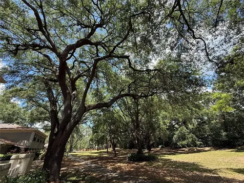 6322 Treetop Circle Temple Terrace FL 33617