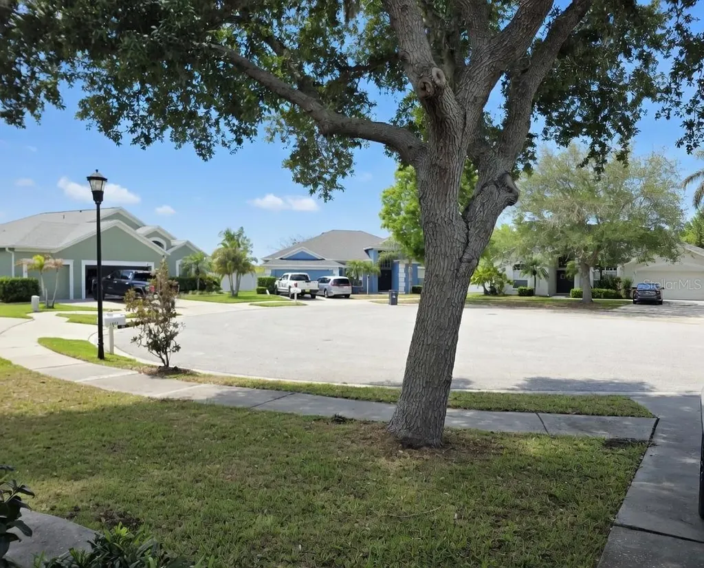 10805 Australian Pine Drive Riverview FL 33579
