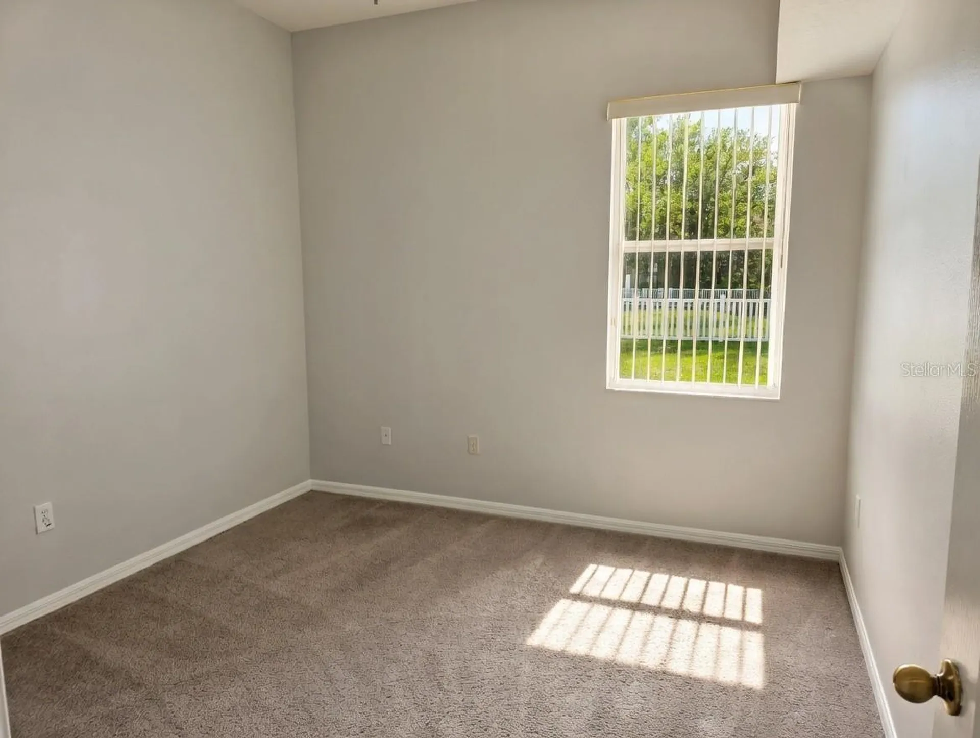 10805 Australian Pine Drive Riverview FL 33579