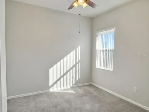 10805 Australian Pine Drive Riverview FL 33579
