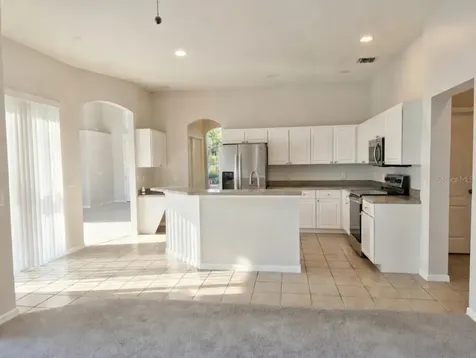 10805 Australian Pine Drive Riverview FL 33579