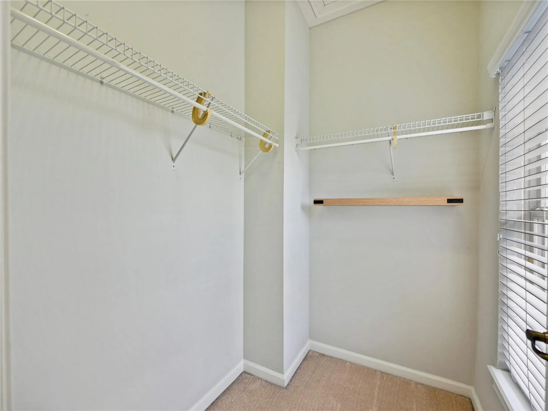 13679 Eridanus Drive Orlando FL 32828