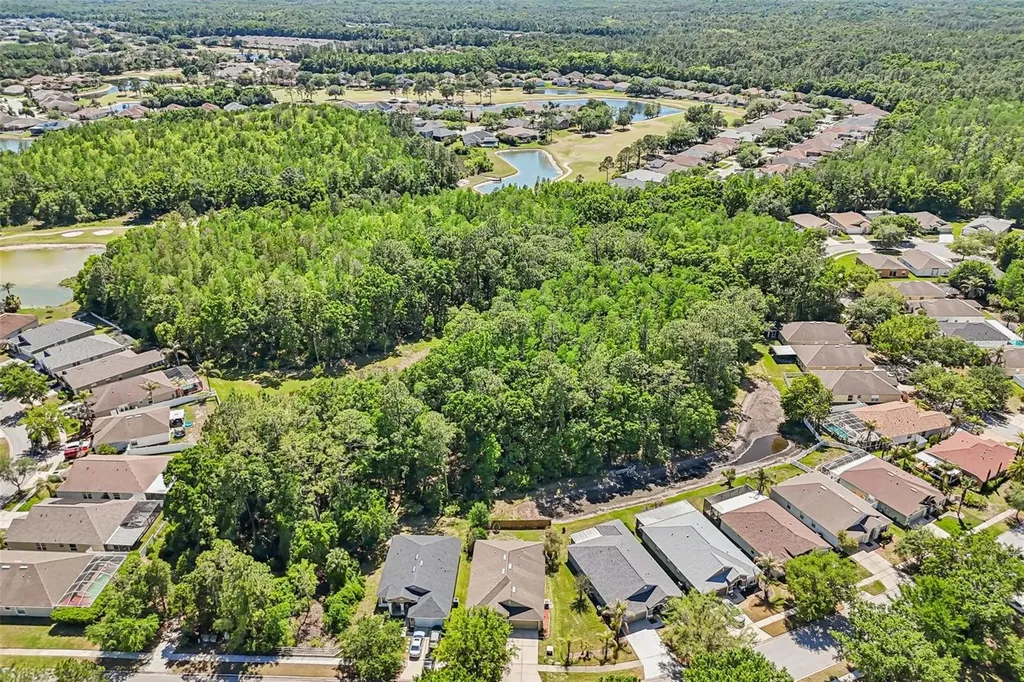 5833 War Admiral Drive Wesley Chapel FL 33544