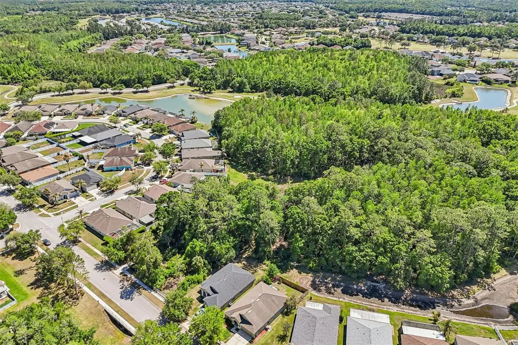 5833 War Admiral Drive Wesley Chapel FL 33544