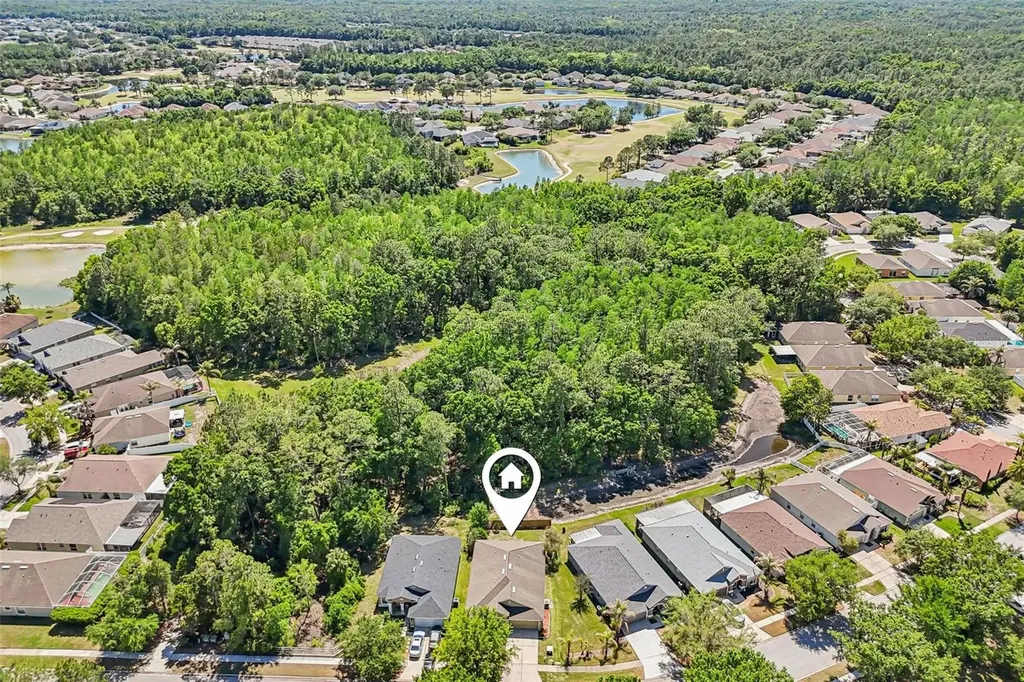 5833 War Admiral Drive Wesley Chapel FL 33544