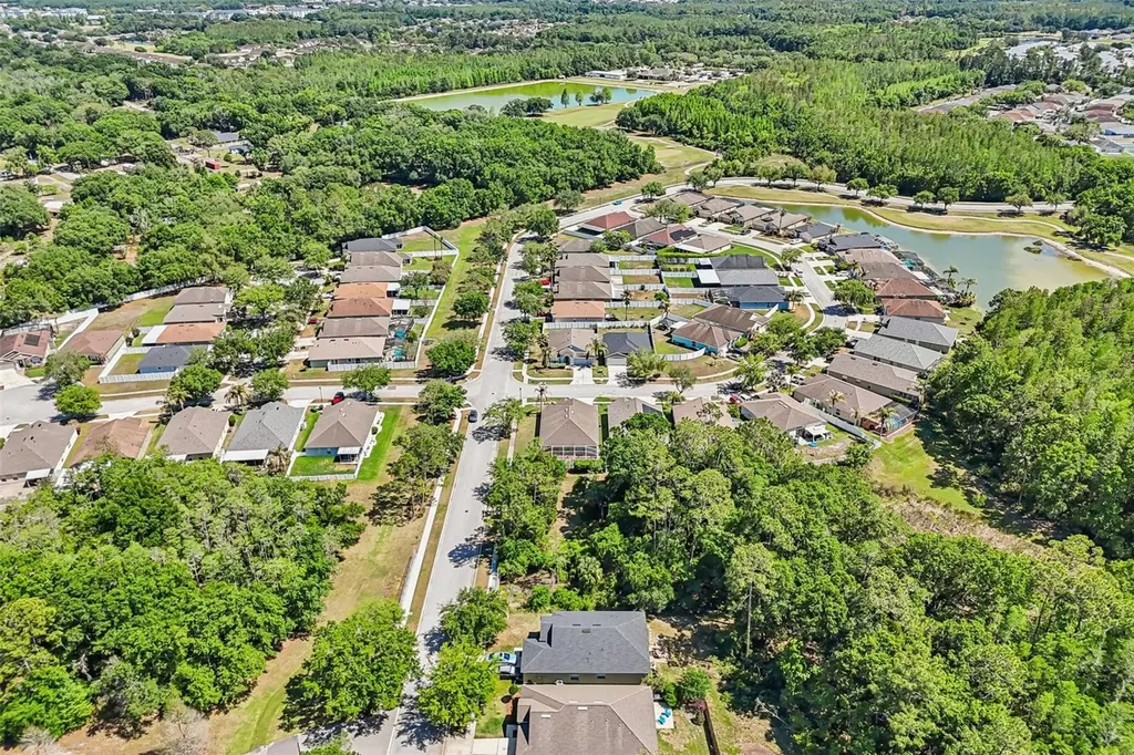 5833 War Admiral Drive Wesley Chapel FL 33544