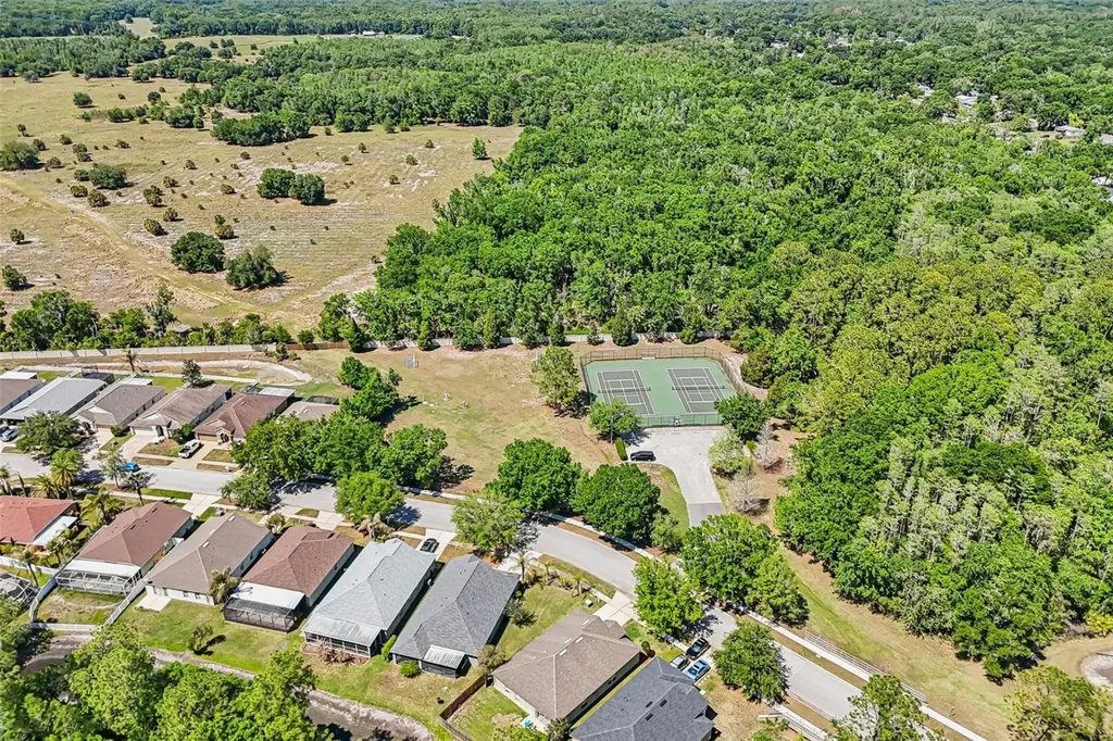 5833 War Admiral Drive Wesley Chapel FL 33544