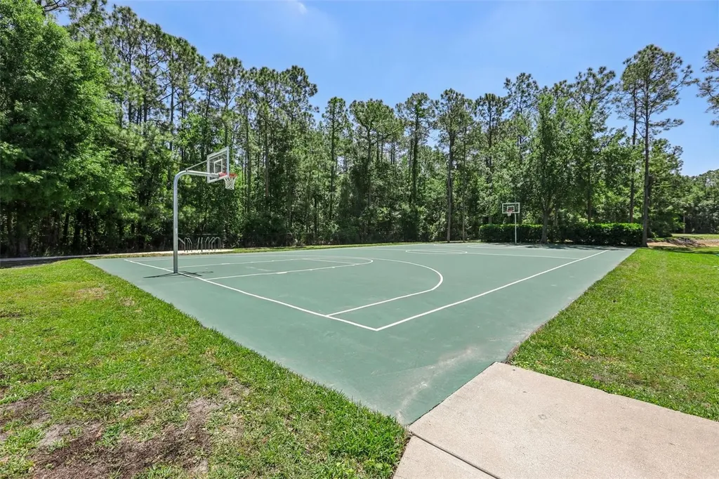5833 War Admiral Drive Wesley Chapel FL 33544