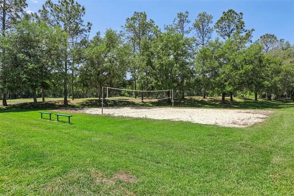 5833 War Admiral Drive Wesley Chapel FL 33544