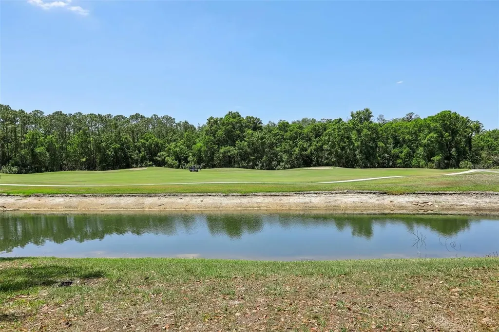5833 War Admiral Drive Wesley Chapel FL 33544