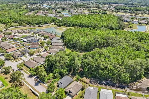 5833 War Admiral Drive Wesley Chapel FL 33544