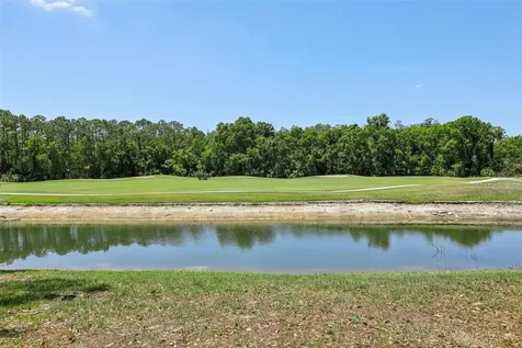 5833 War Admiral Drive Wesley Chapel FL 33544