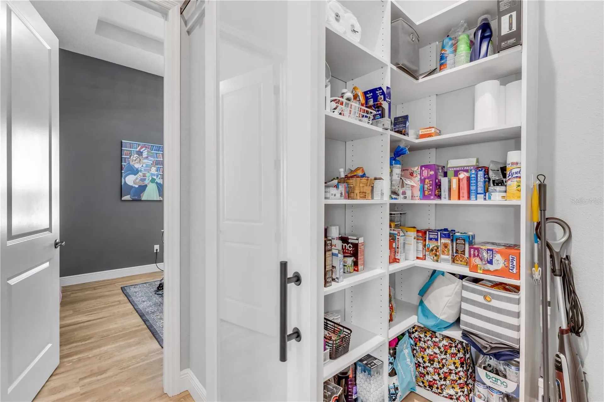 3055 Isola Bella Boulevard Mount Dora FL 32757
