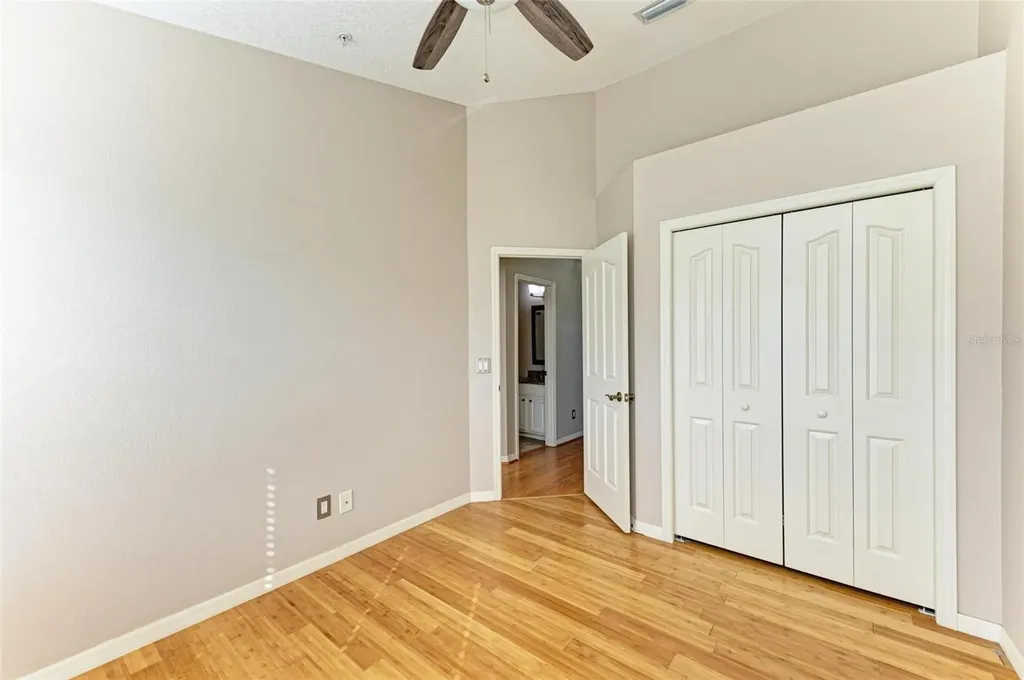 3047 Pointeview Drive Tampa FL 33611
