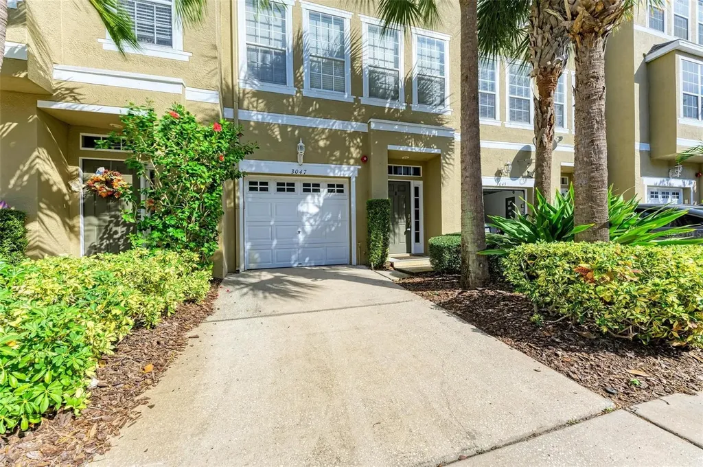 3047 Pointeview Drive Tampa FL 33611