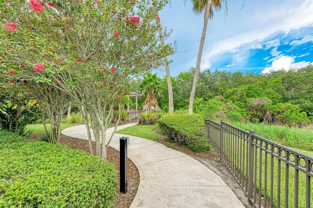 3047 Pointeview Drive Tampa FL 33611
