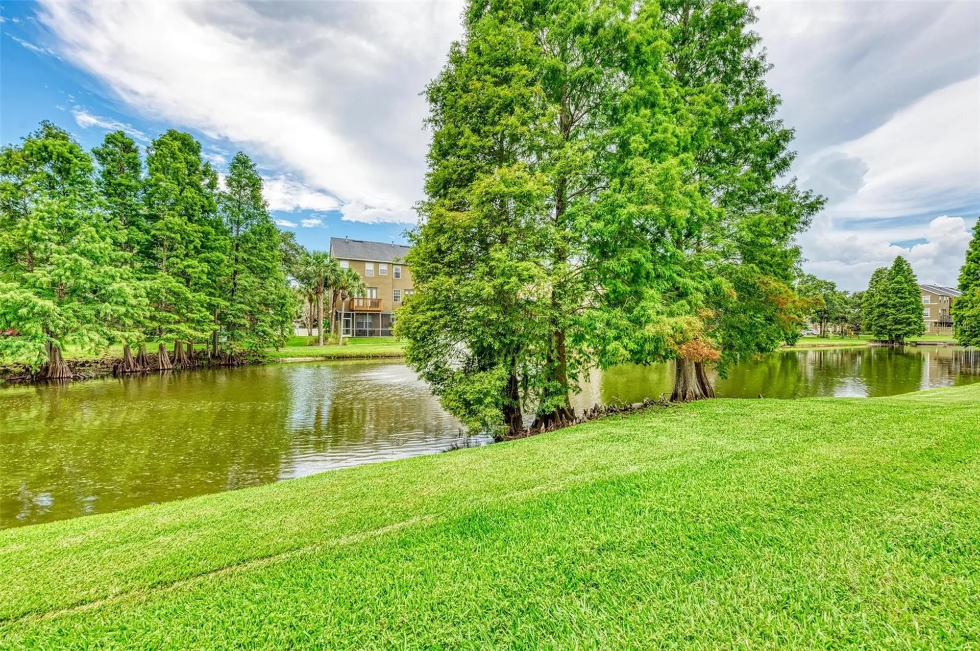 3047 Pointeview Drive Tampa FL 33611