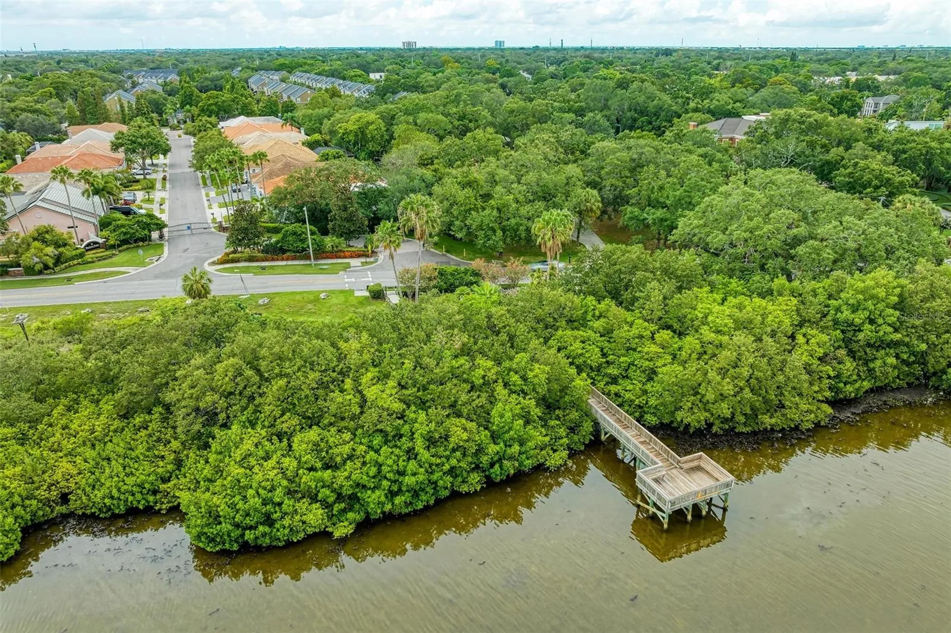 3047 Pointeview Drive Tampa FL 33611