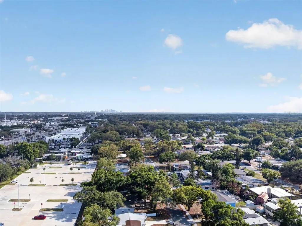 10119 N Ashley Street Tampa FL 33612