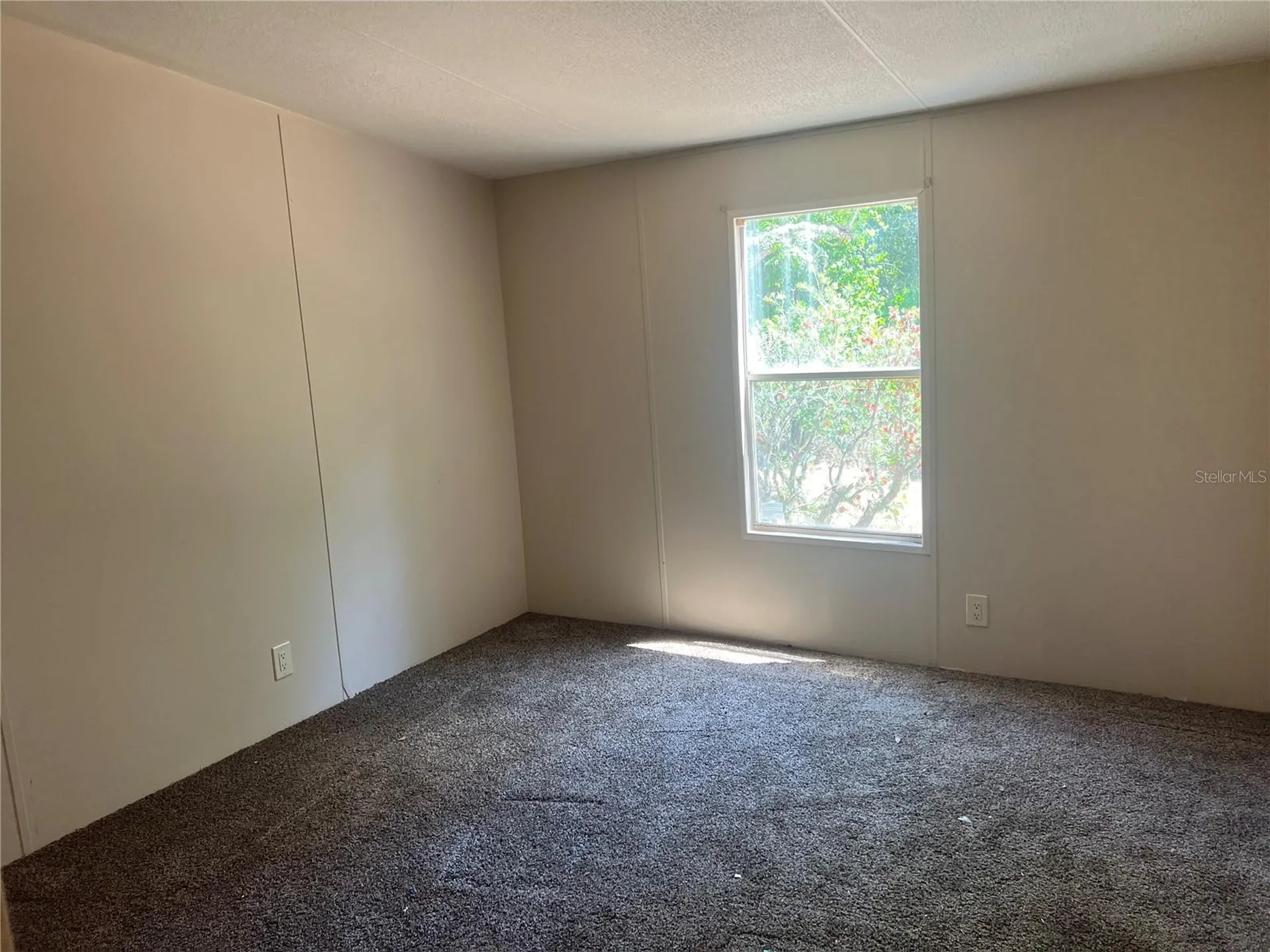 12540 Gurnee Avenue New Port Richey FL 34654