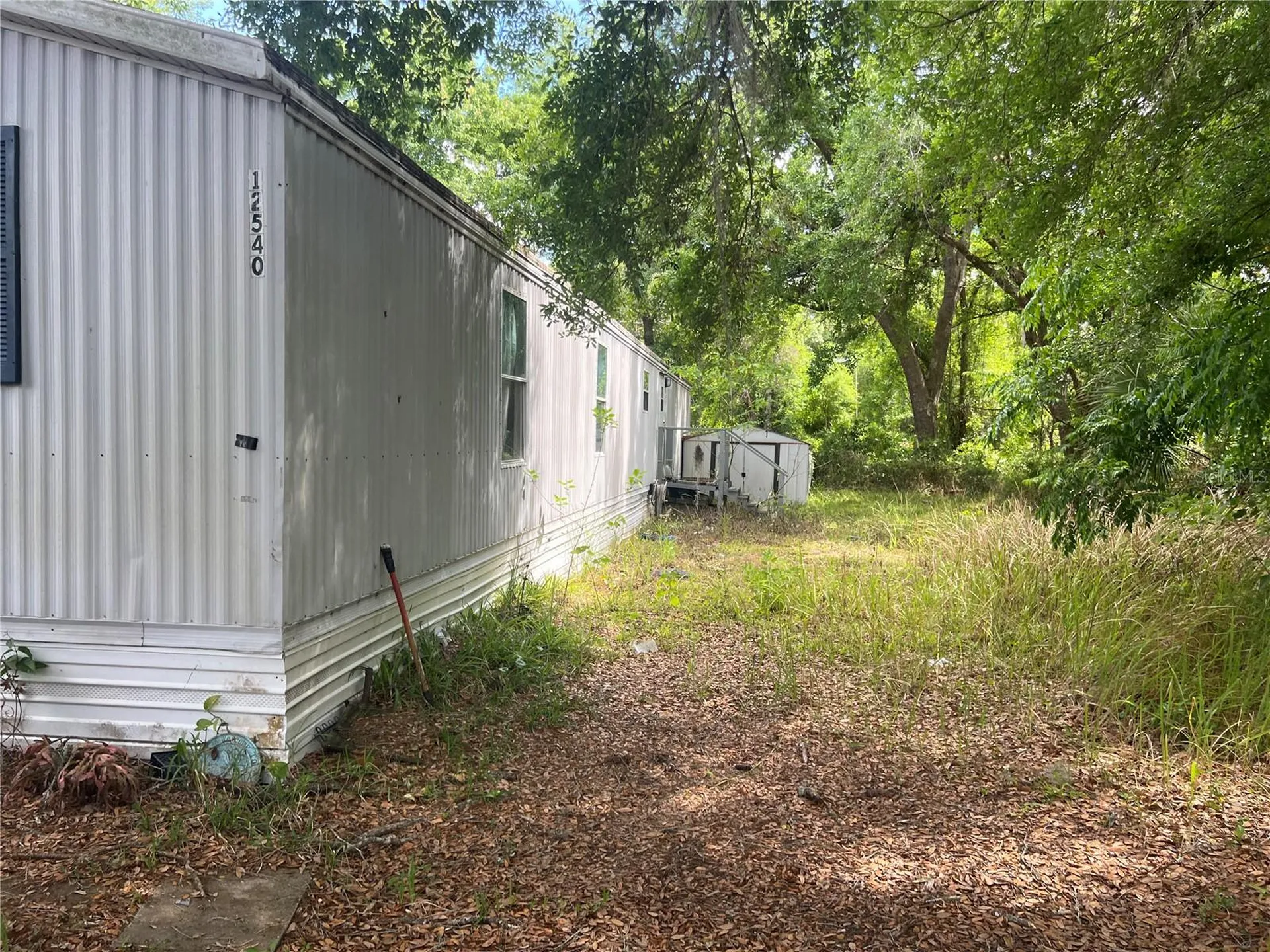 12540 Gurnee Avenue New Port Richey FL 34654