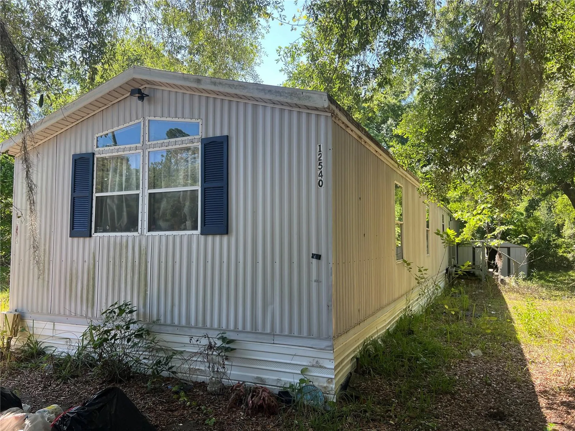 12540 Gurnee Avenue New Port Richey FL 34654