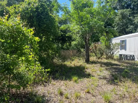12540 Gurnee Avenue New Port Richey FL 34654