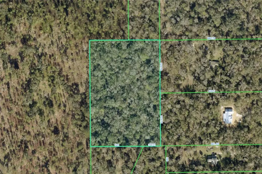 Timber Lane Brooksville FL 34601