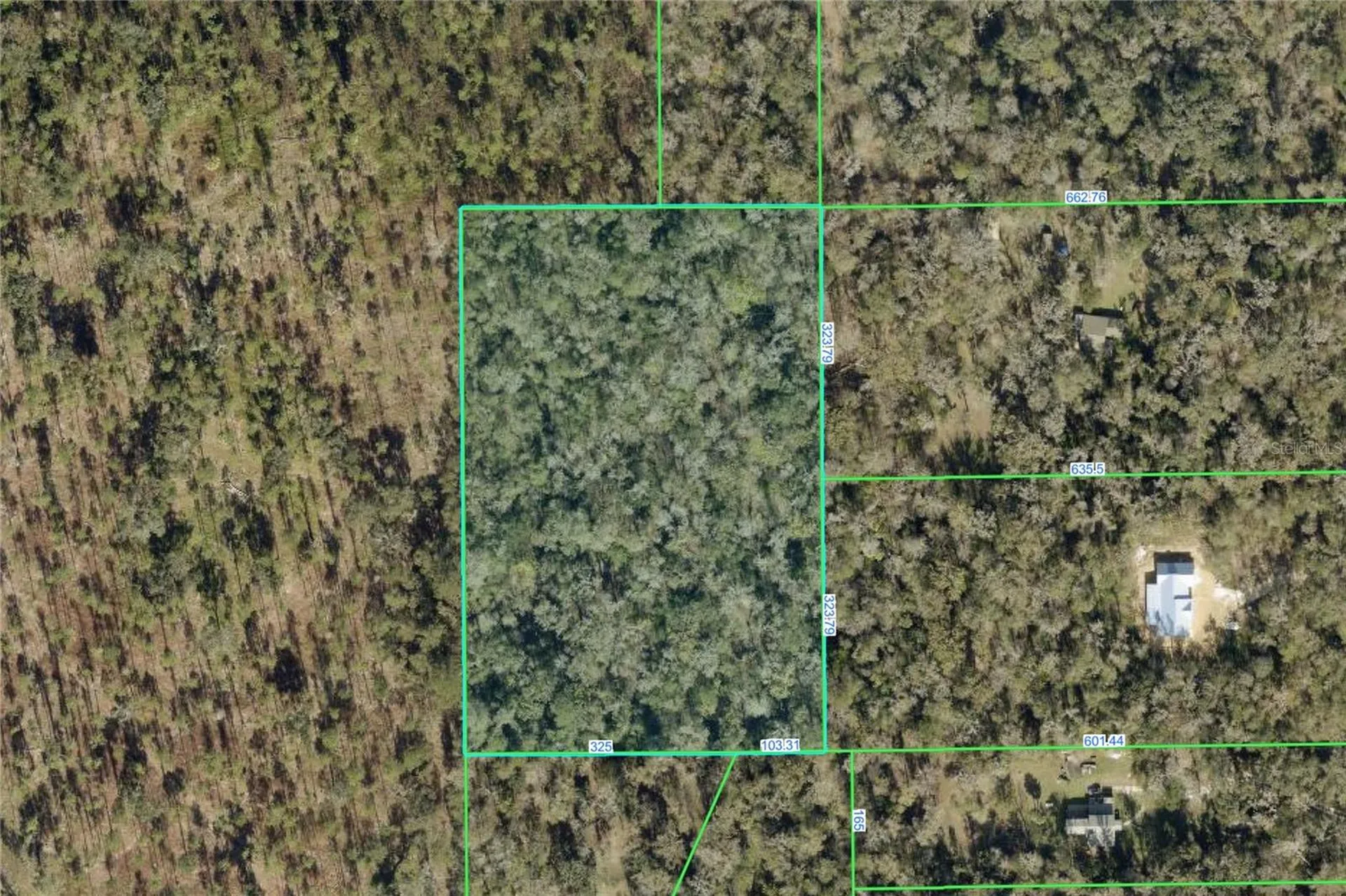 Timber Lane Brooksville FL 34601