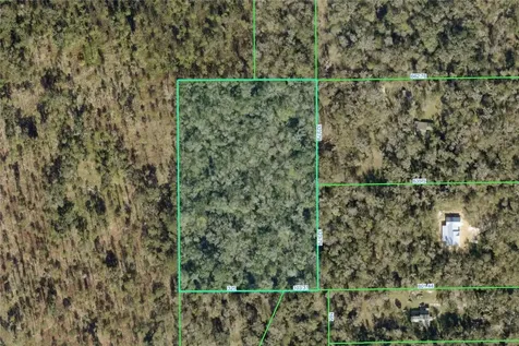 Timber Lane Brooksville FL 34601
