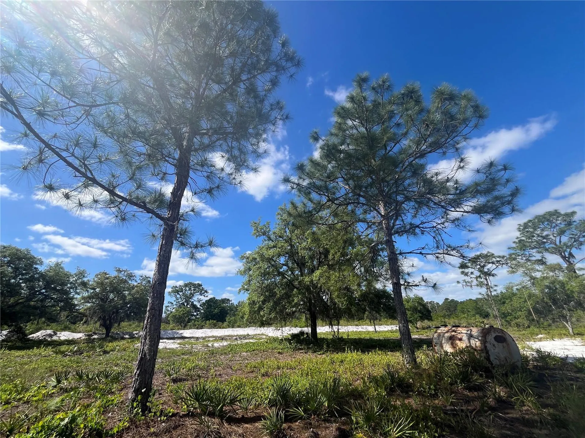 Fazzini Drive Frostproof FL 33843