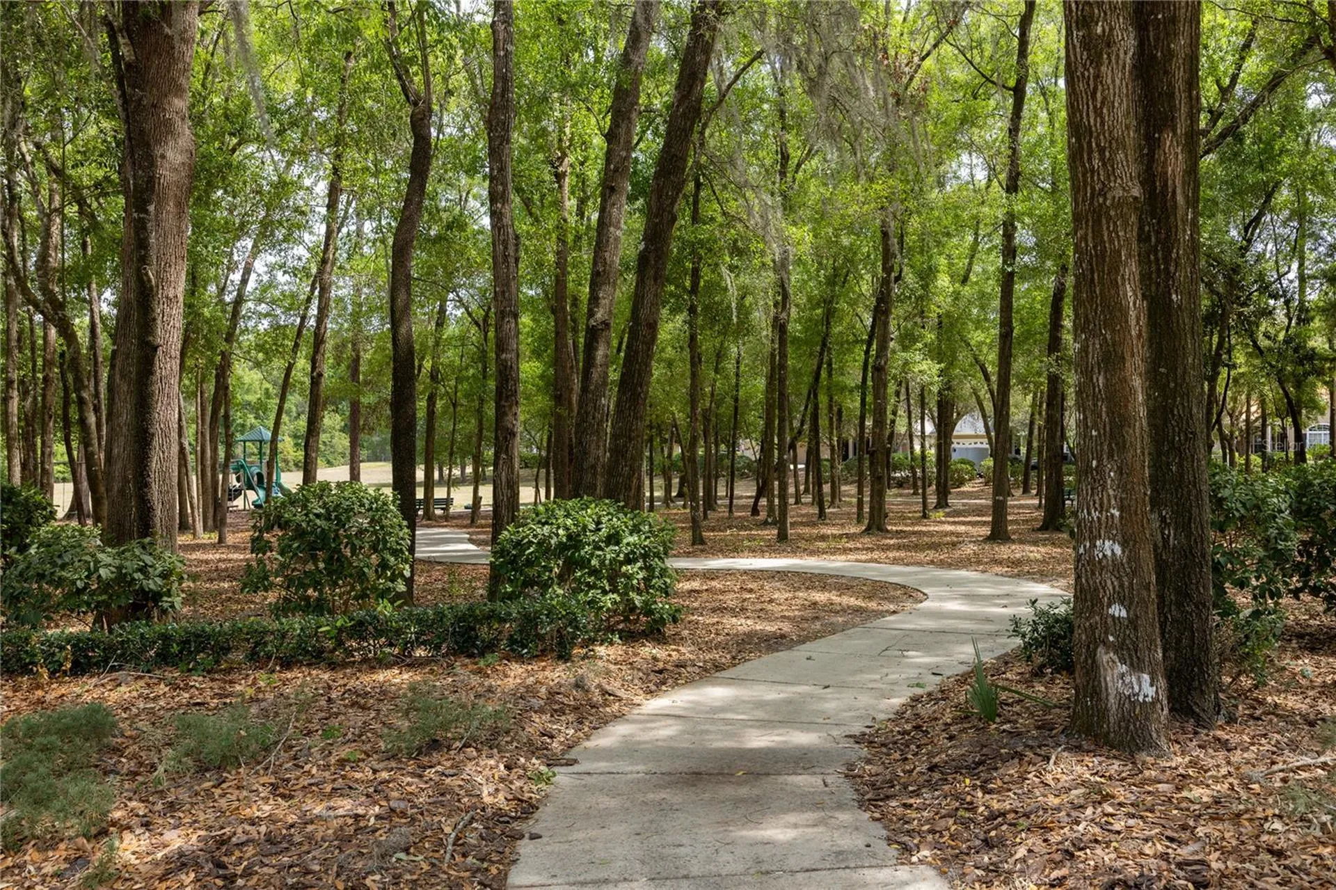 6448 SW 90 Street Gainesville FL 32608