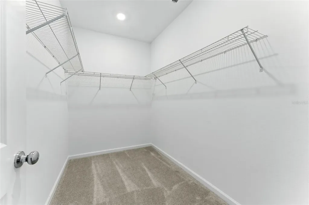 2341 White Buffalo Street Apopka FL 32703