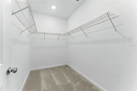 2341 White Buffalo Street Apopka FL 32703