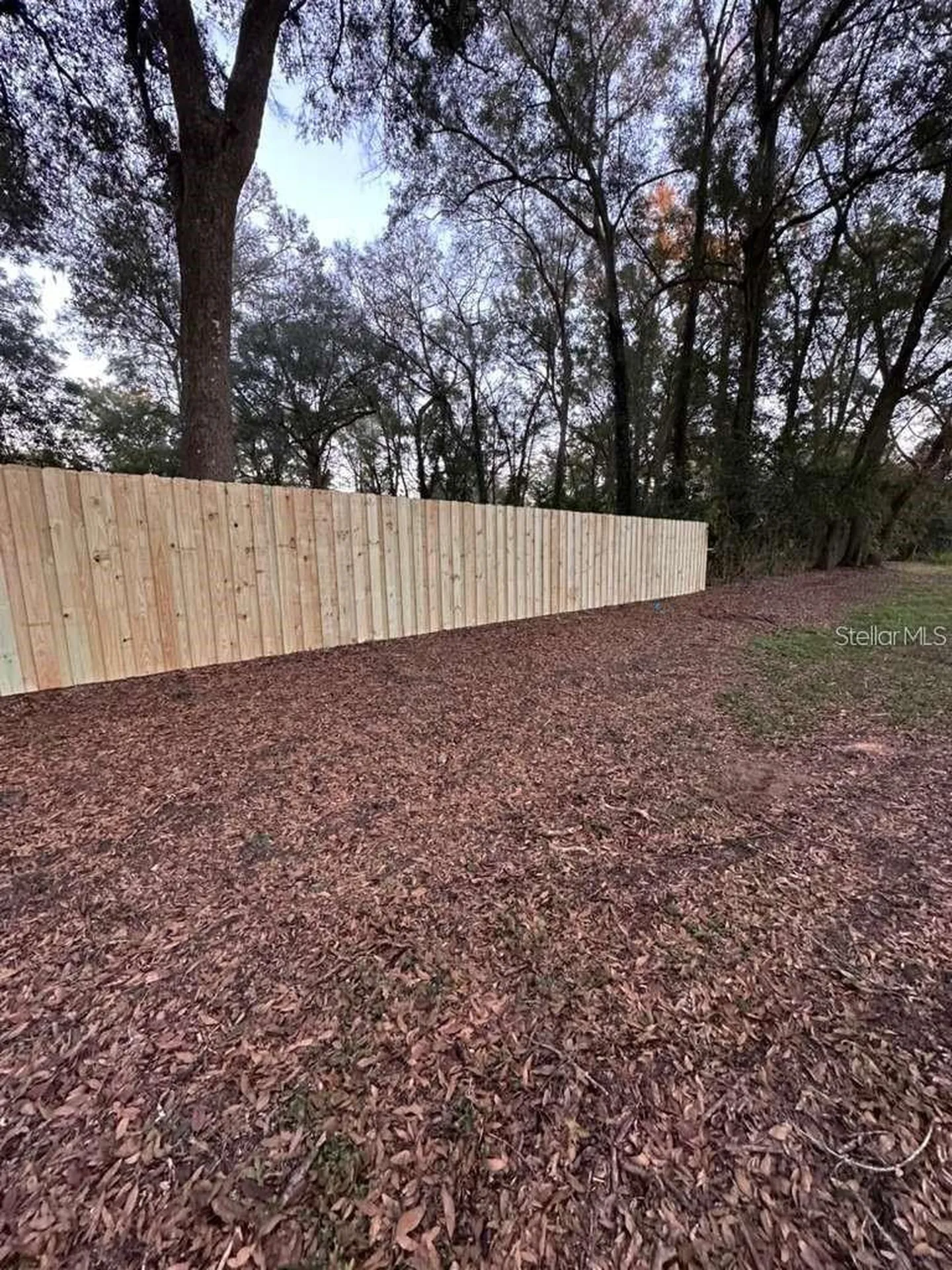 5320 NE 2nd Lane Ocala FL 34470