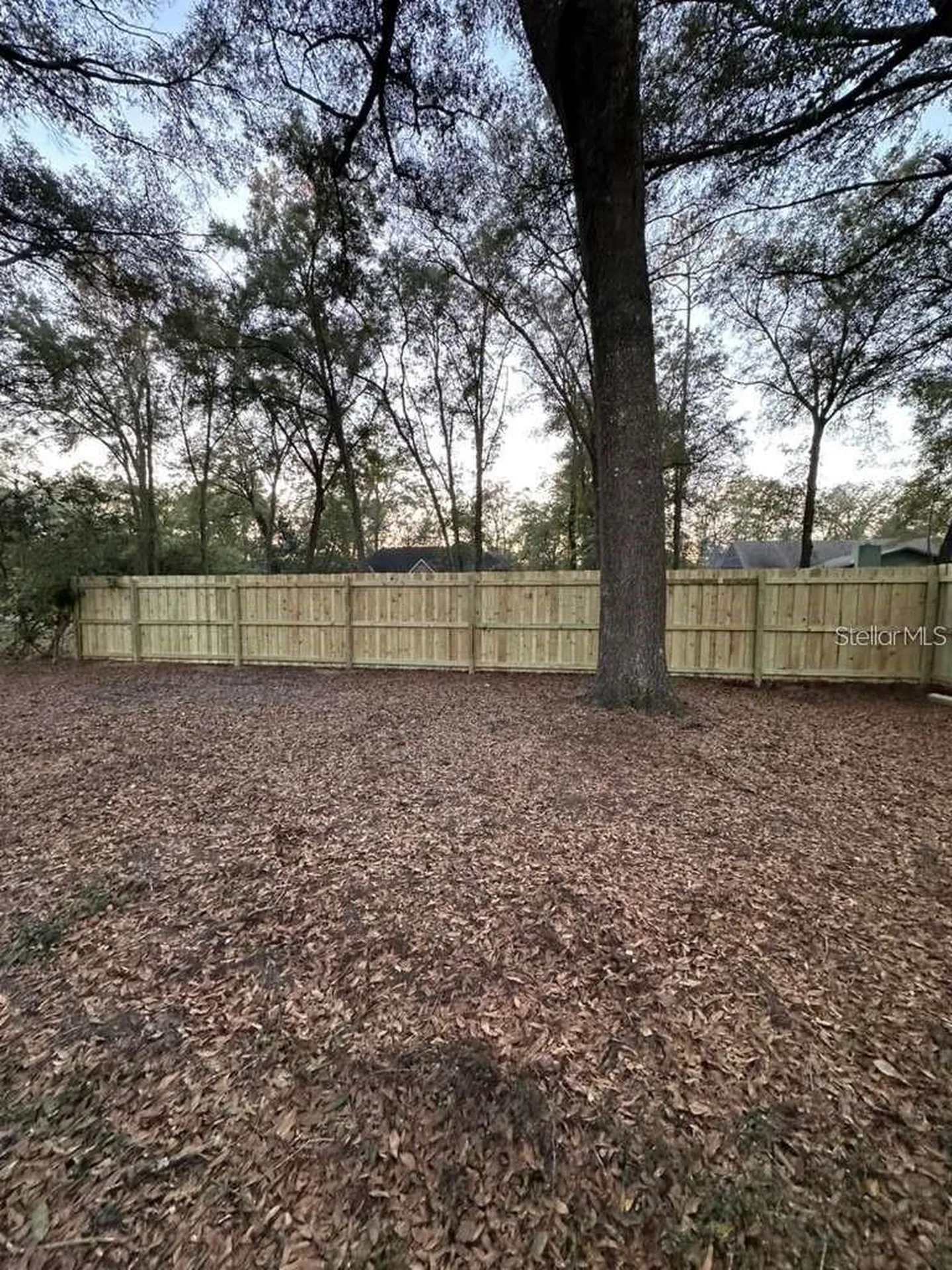 5320 NE 2nd Lane Ocala FL 34470